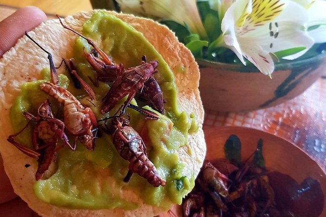 Oaxaca Conmigo Private Tours - Ratings and Recognition
