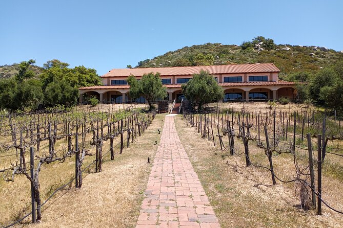 Oceanside, Auto Museum & Winery Tour & Tasting - Experience Highlights
