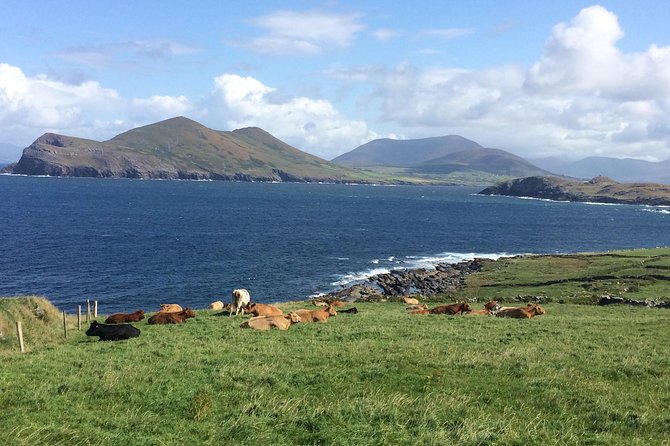 Off the Beaten Path Private Tour of Ring of Kerry - Cancellation and Refund Policy