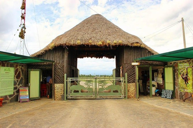 Ol Pejeta Conservancy Day Tour From Nairobi - Traveler Experiences