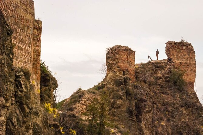 Old Tbilisi Walking Tour in Polish - Company Background