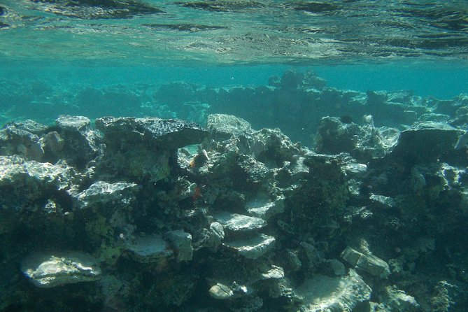 Olous – Guided Snorkelling Excursion to Discover Olous Sunken Ancient City - Exploring the Sunken Ancient City