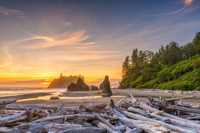 Olympic National Park Luxury Small-Group Day Tour With Lunch - Gourmet Picnic Lunch Details