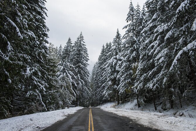 Olympic National Park Self-Guided Driving Audio Tour - Planning Your Visit