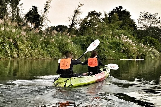 One Day Guided Tour: Kayaking, Zipline & Tubing in the Cave From Vang Vieng - Customer Experiences and Feedback