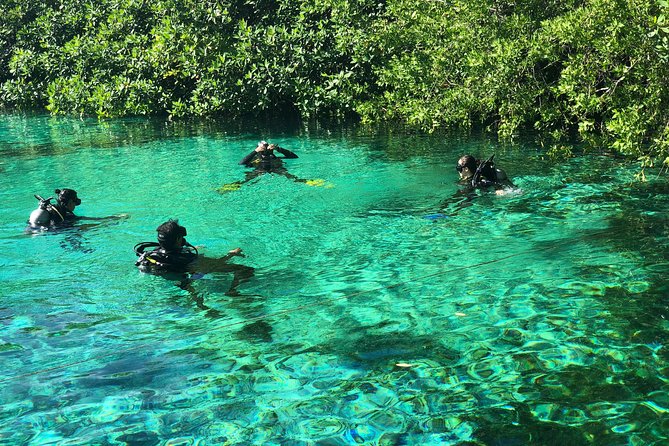Open Water Course in Cenote & Ocean + 1 Cenote Dive From Playa Del Carmen - Group Size