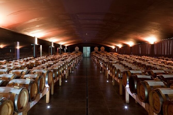 Organic Winery Tour and Balsamic Tasting in Modena - Wine and Balsamic Tasting