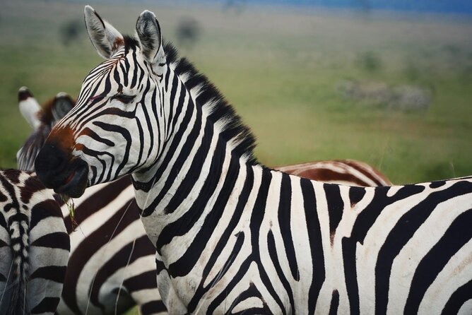 Our Top-best 3 Day Tanzania Joining Group Safari - Booking and Cancellation Policy