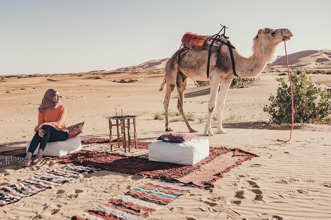 Overnight Camel Trekking in Merzouga - Tips for a Successful Journey