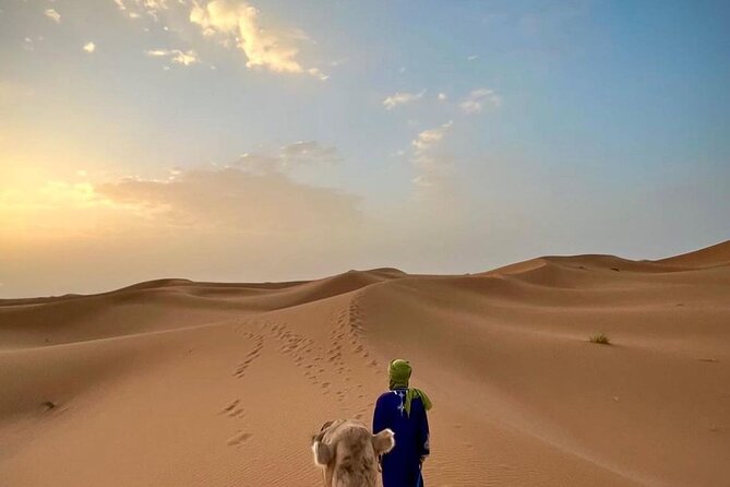 Overnight Desert Camp - Customer Reviews