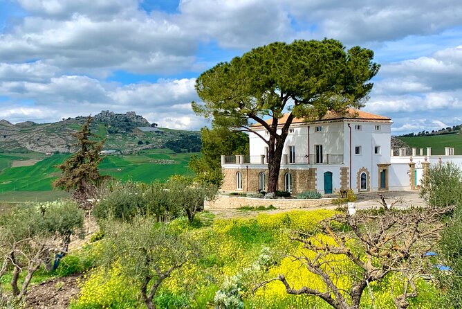 Palermo Private MINITOUR of WEST SICILY 4 Days With Guide Driver - Tour Policies and Pricing