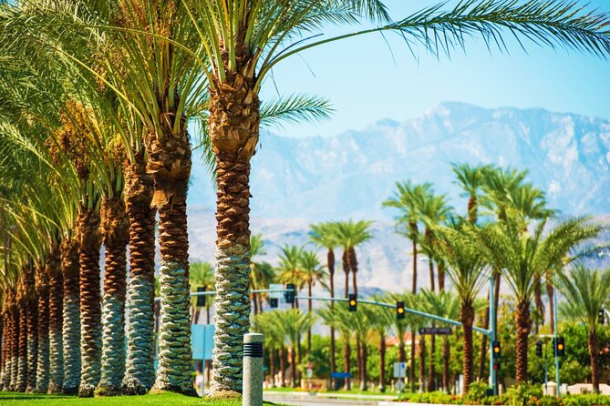 Palm Springs and Joshua Tree Self-Guided Driving Audio Tours - Additional Offerings and Recommendations
