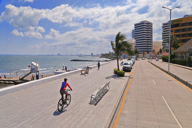 Panoramic Sightseeing Bus City Tour of Veracruz - Making the Most of Your Tour