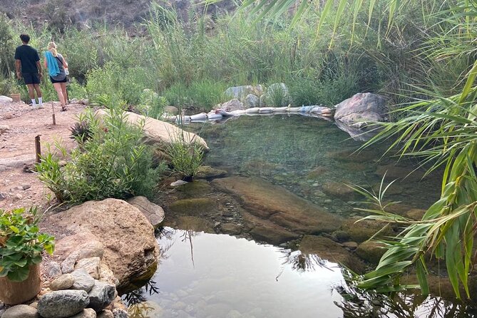 Paradise Valley and Atlas Mountains Adventure in Agadir - Exploring Local Culture