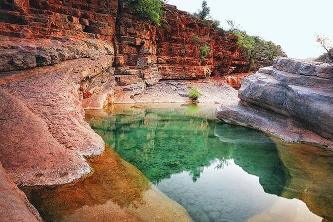 Paradise Valley Trekking - Accessibility Features