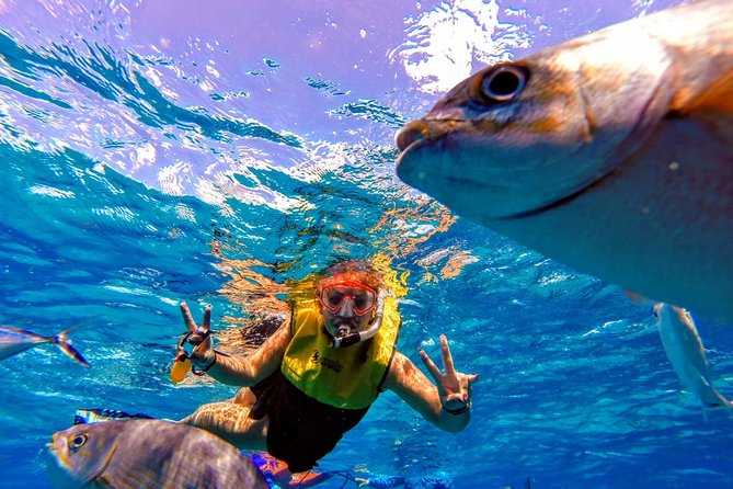 Parasailing in Paradise at Tortugas Beach Club - Additional Activities