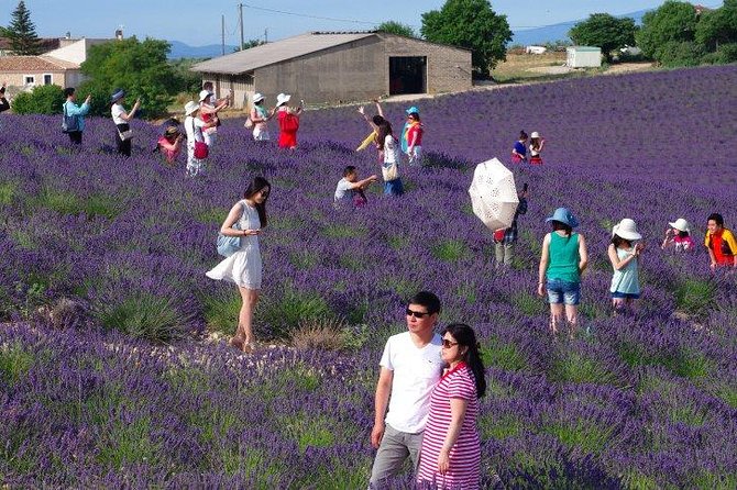 Paray-Le-Monial Private Guided Tour With Your Official Guide ! - Private Guided Experience