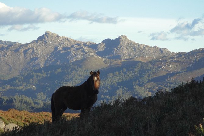 Peneda-Gerês National Park - A Time Travel Through The Mountains - - Highlights of the Park