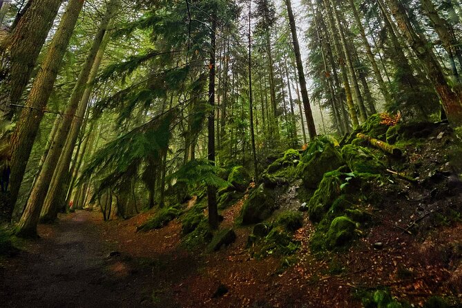 Perthshire Highlands: Private Land Rover Tour - Traveler Testimonials and Shared Experiences