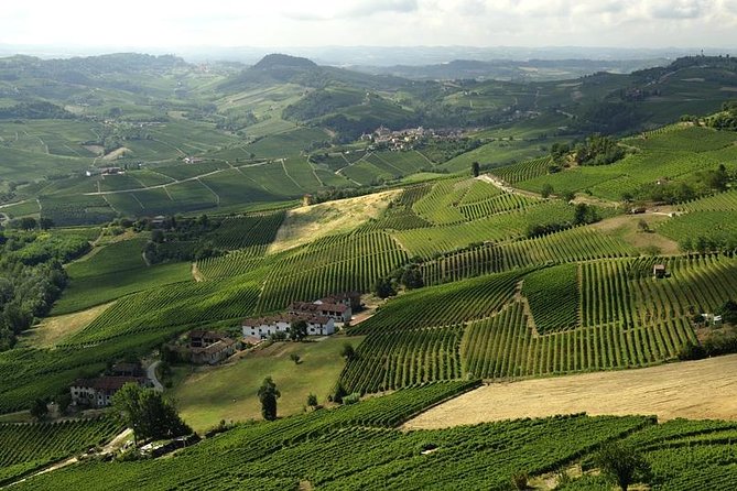 Piemonte Vineyards by Yourself From Turin - Business Car With English Chauffeur - Booking Confirmation and Policies