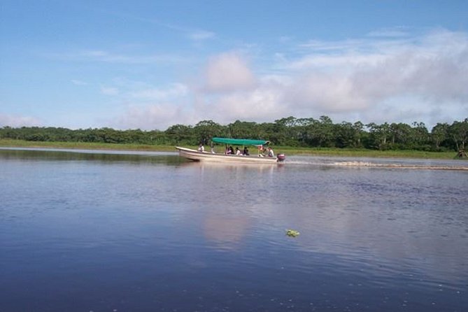 Piranha Fishing Experience in the Amazon Jungle - Capturing the Unforgettable Moments