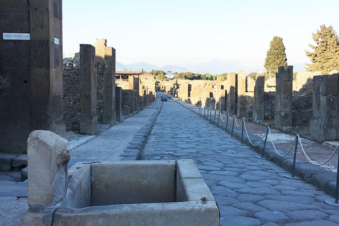 Pompeii With an Archaeologist, 3h Detailed Visit ... - What to Expect