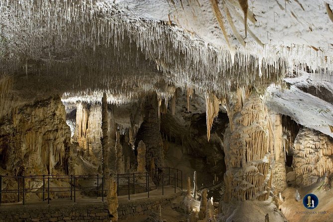 Postojna Cave, Predjama Castle and Piran Tour From Ljubljana - Traveler Feedback