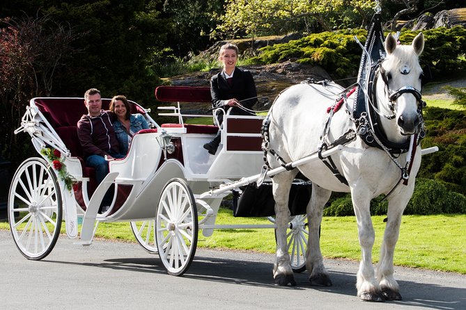 Premier Horse-Drawn Carriage Experience in Victoria - Recommended for Couples and Families