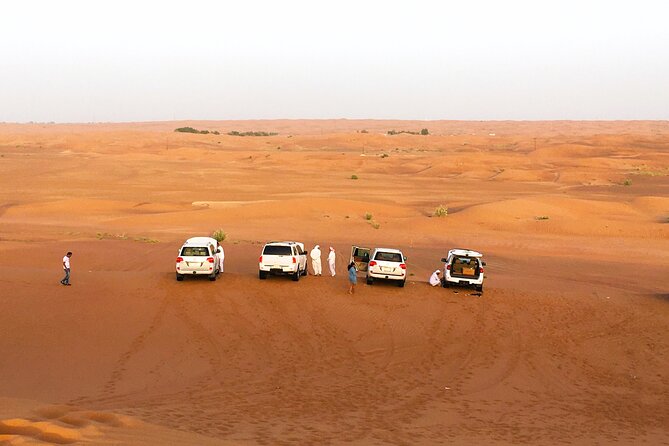 Premium Dubai Desert Safari 4x4 With BBQ Dinner - Essential Tour Information