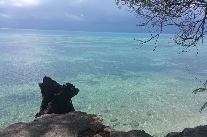 Prison Island Half-Day Tour From Zanzibar - Transportation and Logistics
