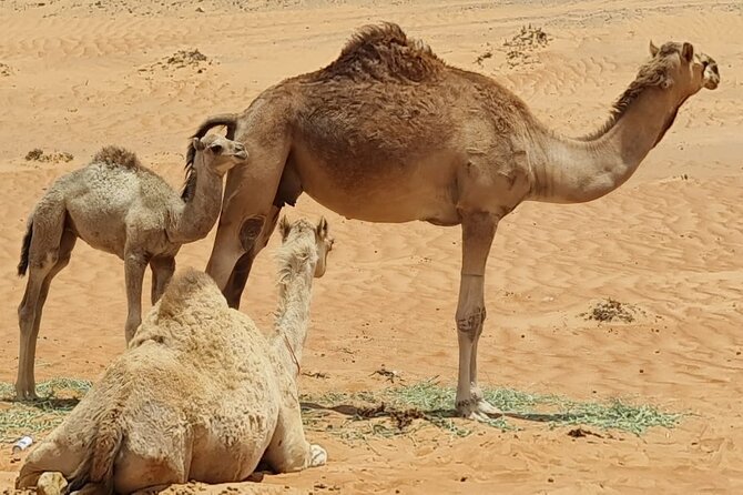 Private 5 Days 4 Night Roundtrips Tour - Booking and Cancellation