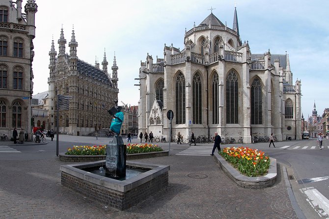 Private 6-Hour Tour to Leuven From Brussels With Driver and Guide (In Leuven) - Since You Asked