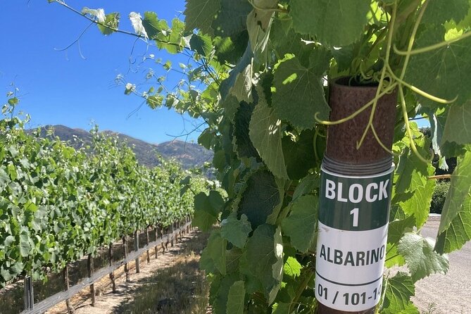 Private 6 Hour Wine Tour of the Santa Ynez Valley - Booking Process