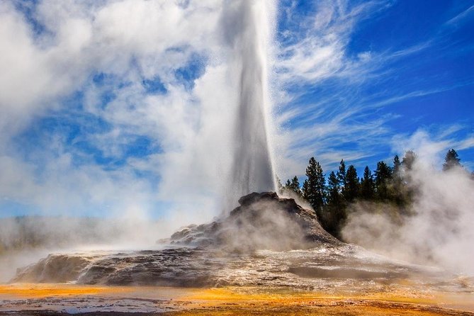 Private All-Day Tour of Yellowstone National Park (Upper Loop) - Customer Feedback and Reviews