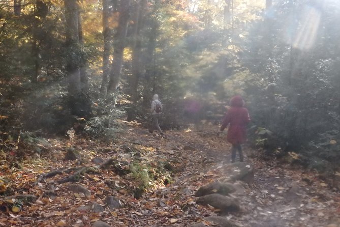 Private All-Inclusive Algonquin Tours (3 Day Guided Camping) - Group Size and Accessibility