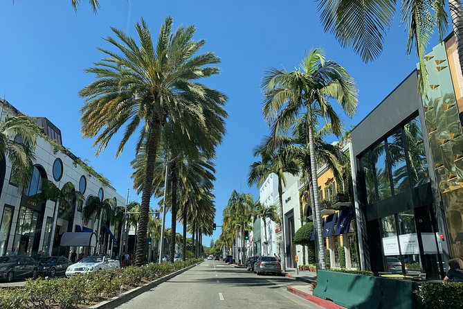 Private and Small Group Tour From San Diego to LA - Traveler Feedback and Ratings