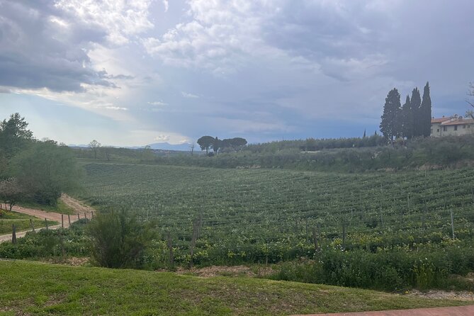 Private Bike Tour of Vinci Town and Countryside - Tips for a Great Tour