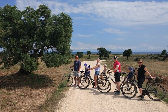 Private Bike Tour With Olive Oil Tasting - Discovering Local Olive Oil