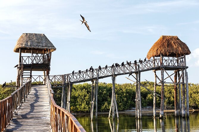 Private Boat to Visit Holbox Surroundings (3-Island Tour) - Exploring Passion Island