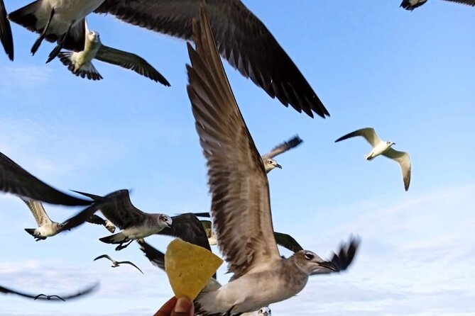 Private Boat Tour (3 Islands Tour) - Recommended by Travelers