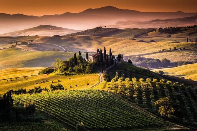 Private Chianti and Supertuscan Tour 2 Wineries With Light Lunch From Livorno - Cancellation Policy and Customer Support