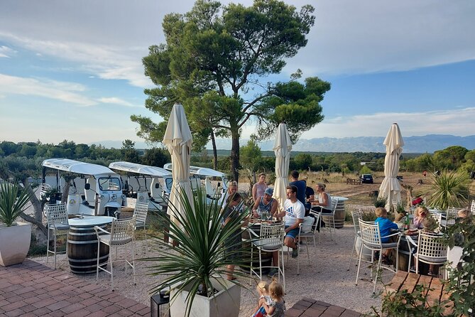 Private City and Wine Tour in Zadar With Eco Tuk Tuk - Cancellation Policy Details