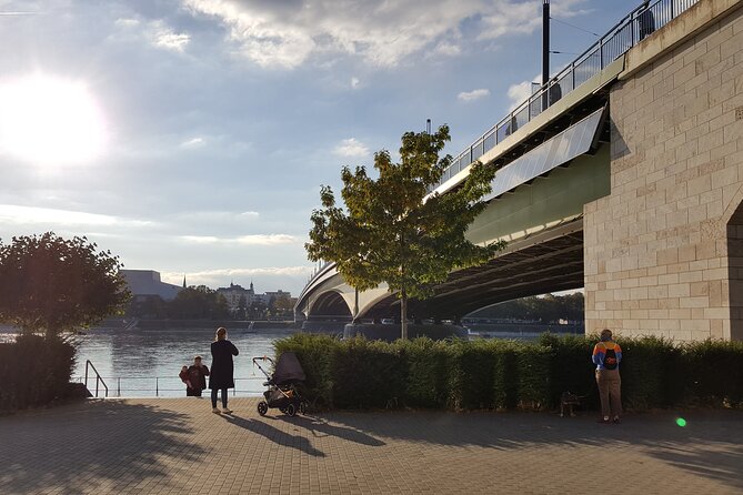 Private City Tour Bonn - City Highlights - Personalized Local Guiding Experience