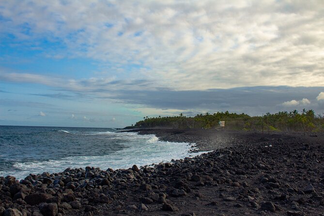 Private Custom Van Full-Day Guided Tour on Big Island of Hawaii - Traveler Testimonials