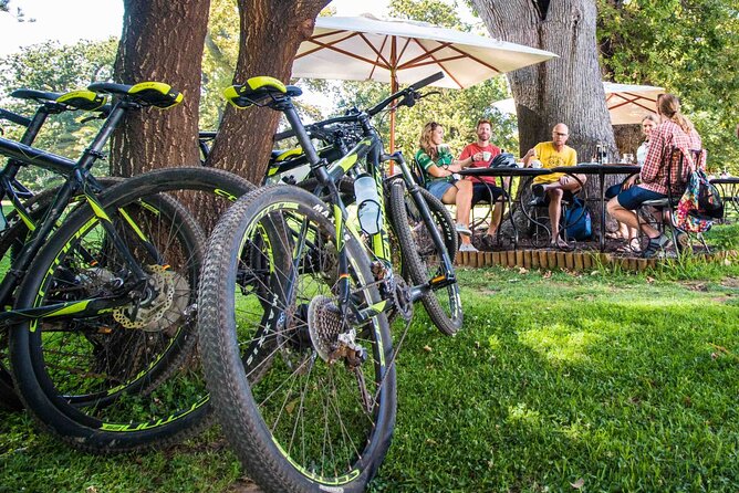 Private Cycling Tour of Constantia Winelands - Exploring Constantia Winelands
