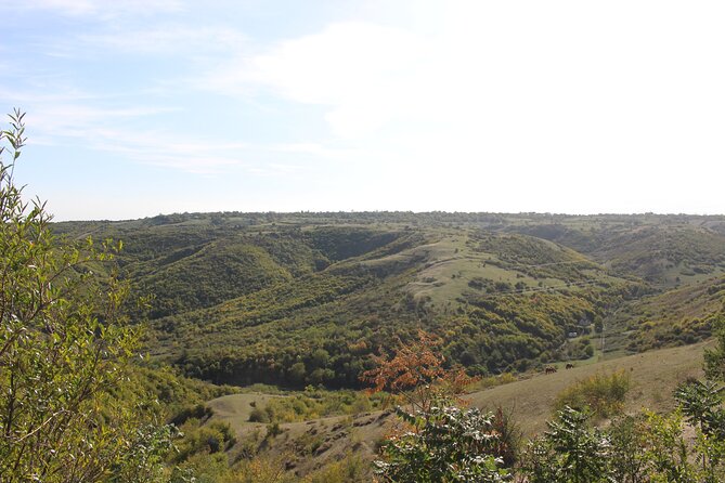 Private Day Horse Riding Trip to Sighnaghi With Lunch and Wine/Beer. - Accessibility and Private Tour