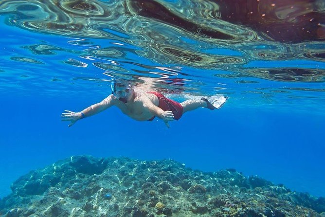 Private Day Tour From Luxor to Red Sea - Customer Reviews