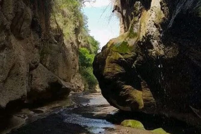 Private Day Tour to Hells Gate National Park and Lake Naivasha - Health and Accessibility