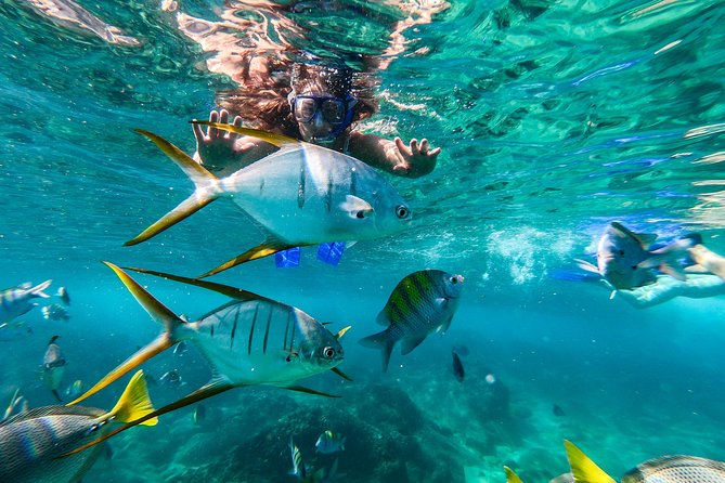 Private Day Trip to San José & Cabo San Lucas - Snorkeling off Pelican Beach