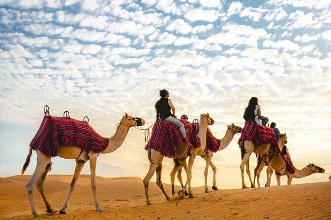 Private Desert Excursion With Camel Ride Sandboard & BBQ Dinner - Accessibility Considerations